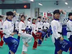 移动端游戏-跆拳道黑带大赢特大奖，小组头名确定的简单介绍