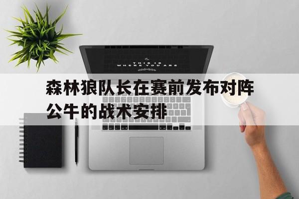 手机APP-森林狼队长在赛前发布对阵公牛的战术安排
